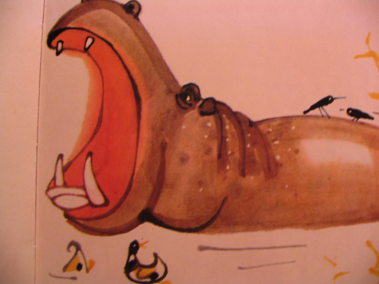 zoo 24