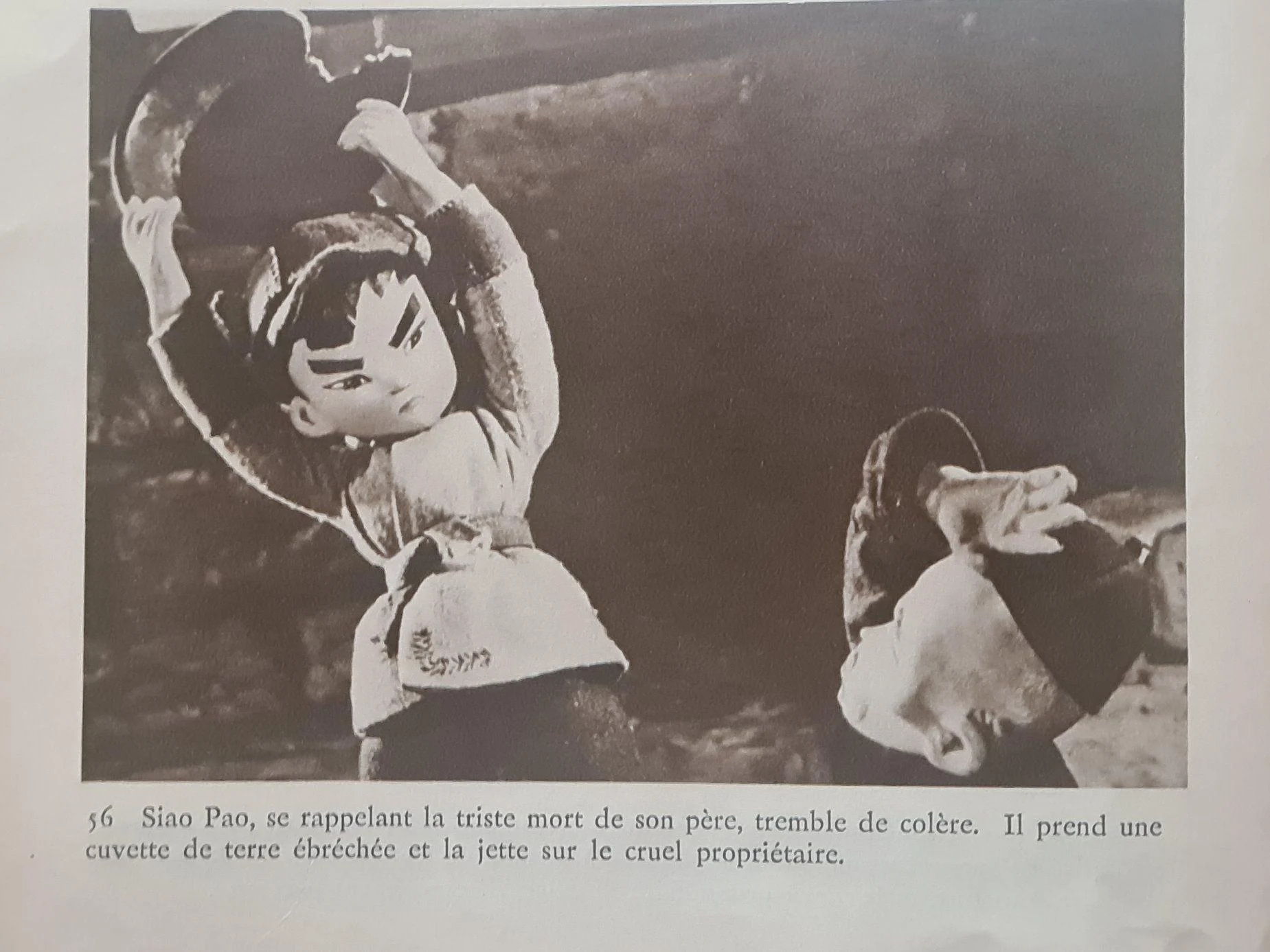 Ccm56