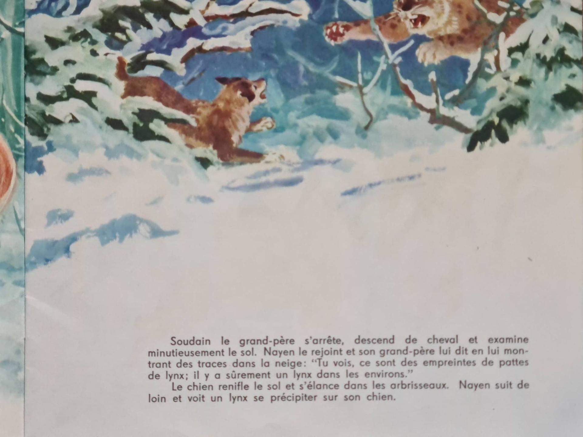 Ch5 1