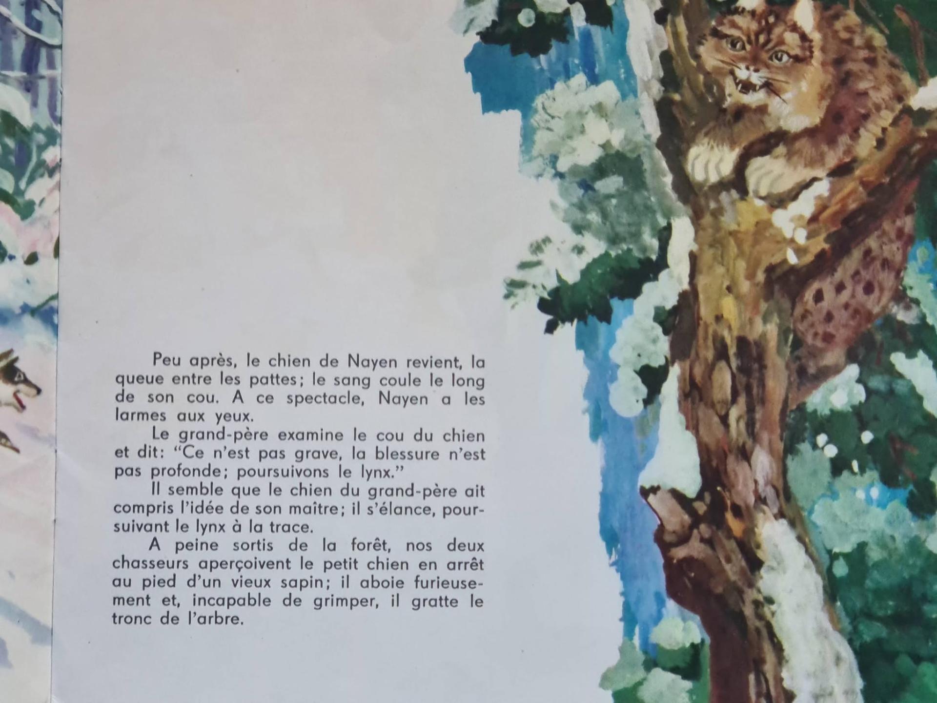 Ch7 1