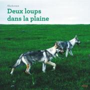 Deux loups dans la plaine